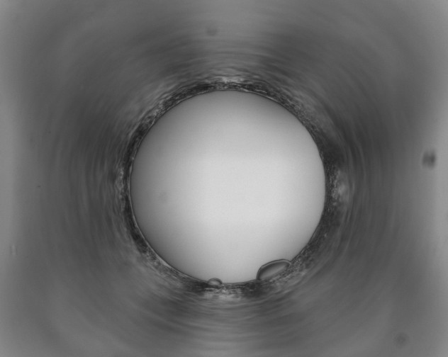 X0000090910559200707301035