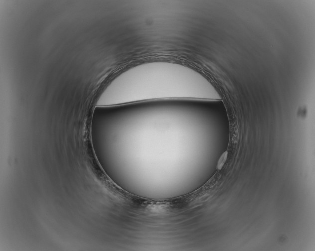 X0000090910560200707301035