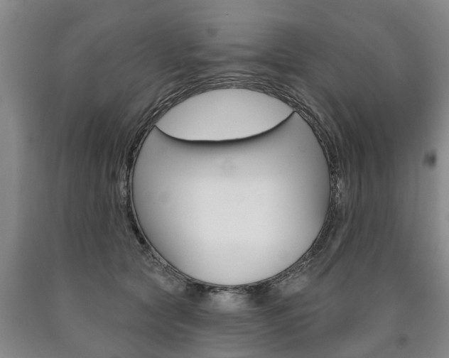 X0000090910561200707301035
