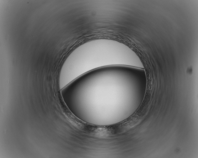 X0000090910562200707301035