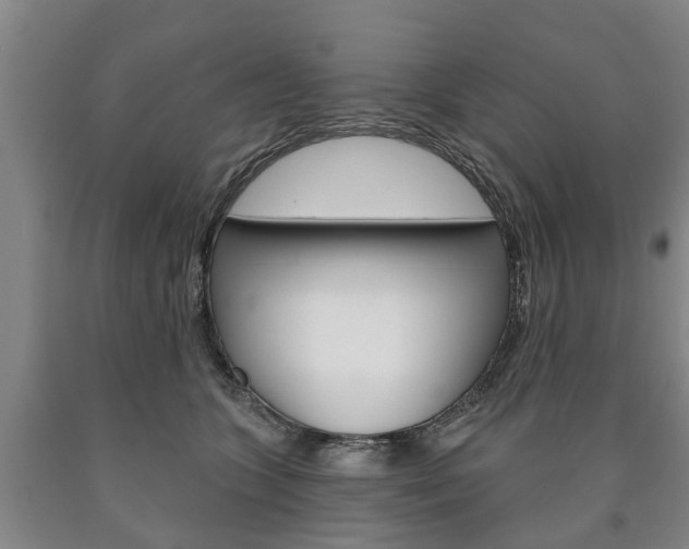 X0000090910563200707301035