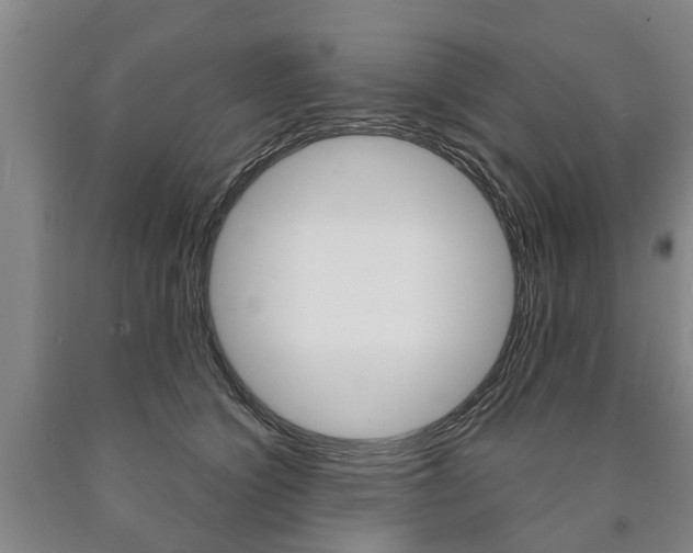 X0000090910564200707301035