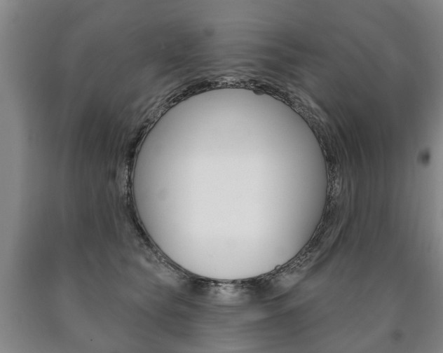 X0000090910565200707301035