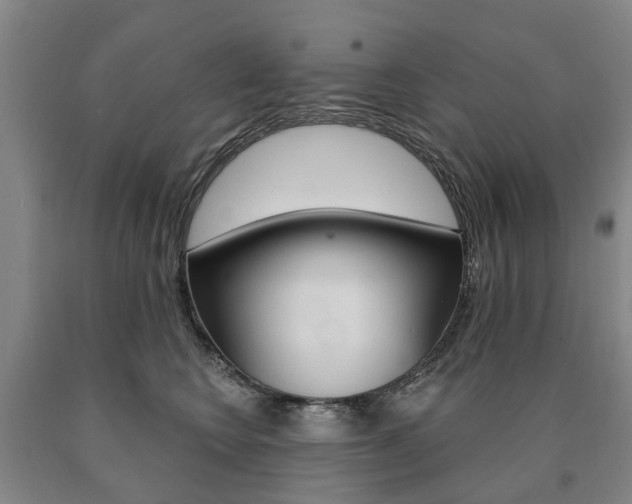 X0000090910566200707301035