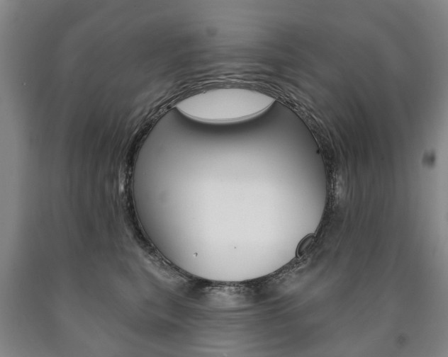 X0000090910567200707301035