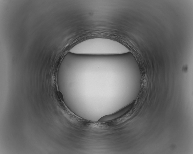 X0000090910568200707301035