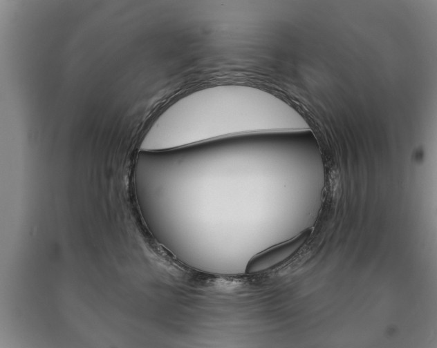 X0000090910570200707301035