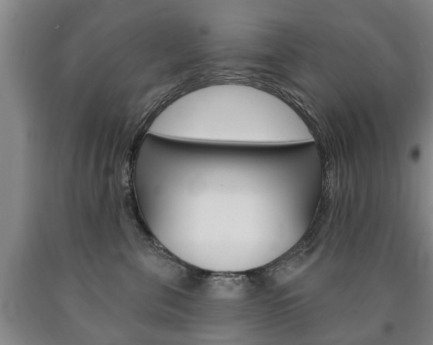 X0000090910571200707301035