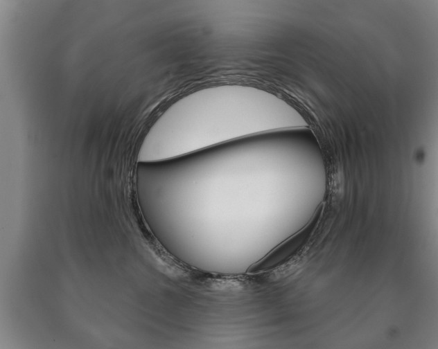 X0000090910572200707301035