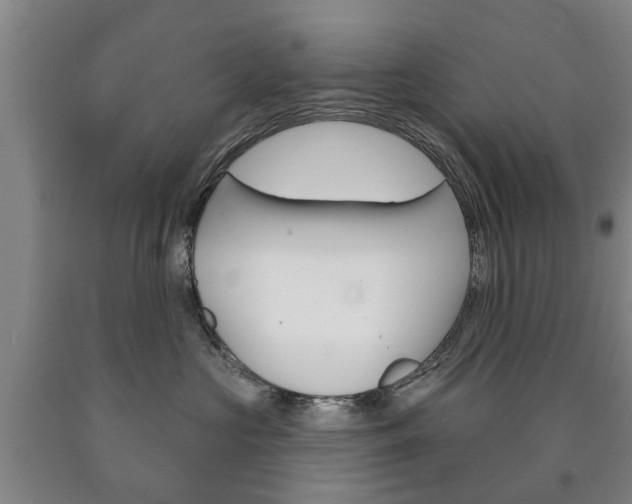 X0000090910573200707301035