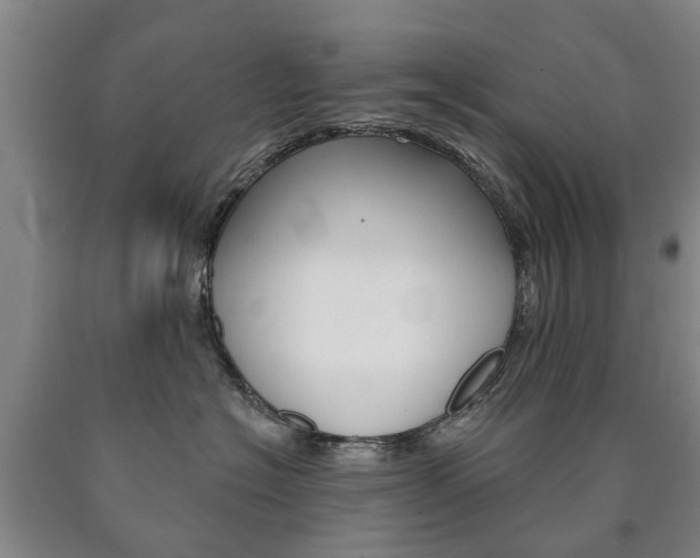 X0000090910574200707301035