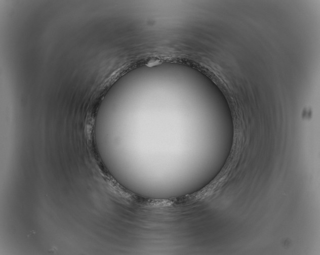 X0000090910576200707301035