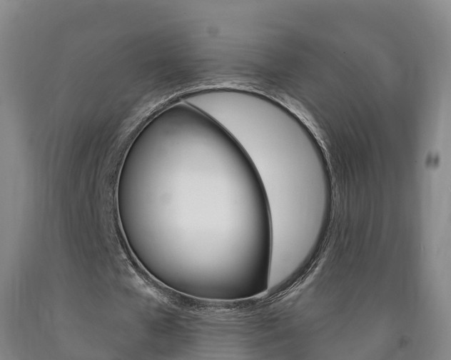 X0000090910577200707301034