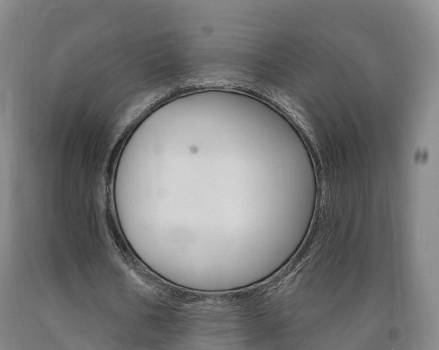 X0000090910578200707301034