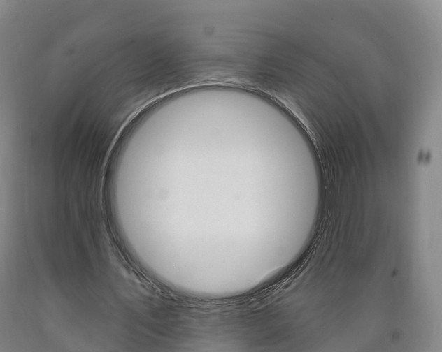 X0000090910579200707301034