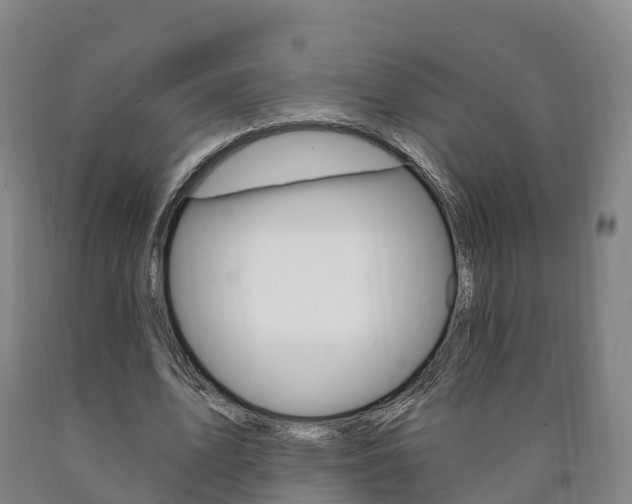 X0000090910583200707301034
