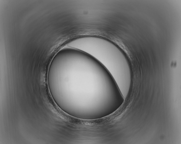 X0000090910585200707301034