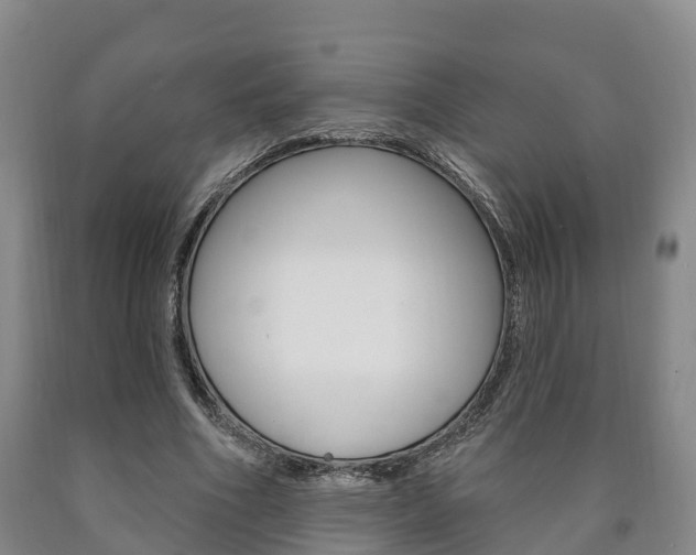 X0000090910586200707301034
