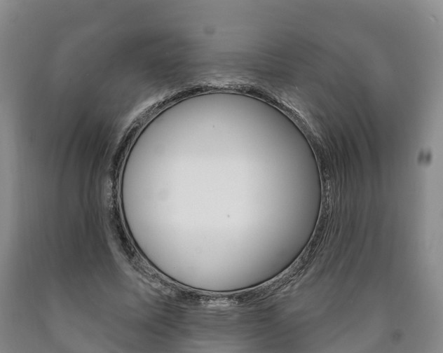 X0000090910587200707301034