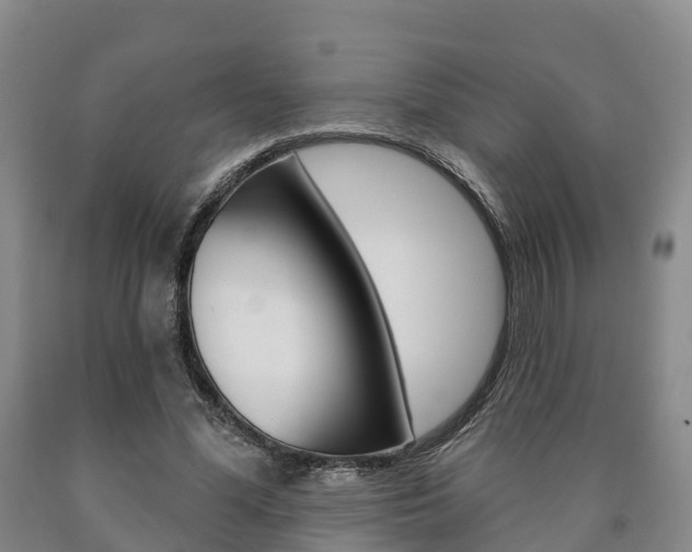 X0000090910588200707301034