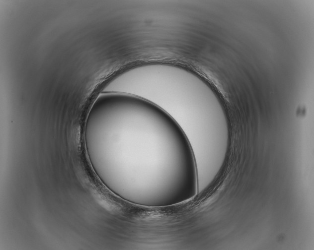 X0000090910589200707301034