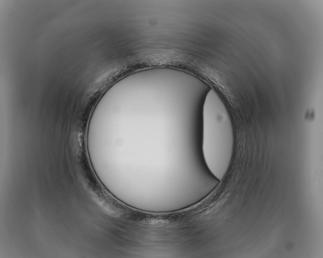 X0000090910590200707301034