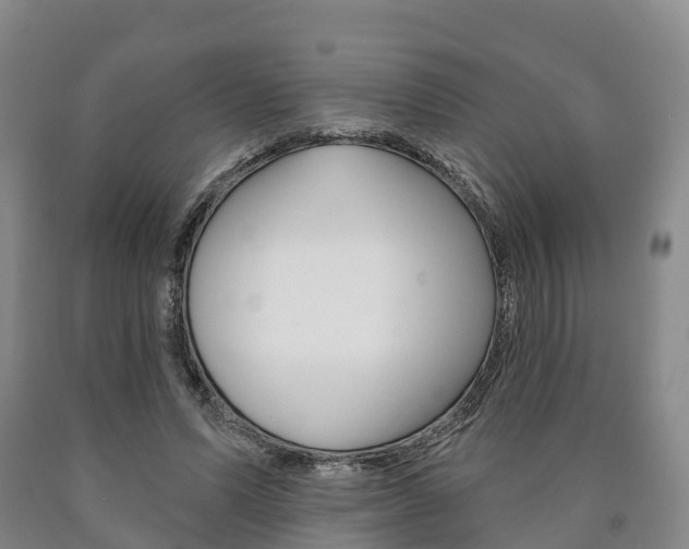 X0000090910591200707301034