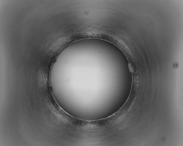 X0000090910593200707301034