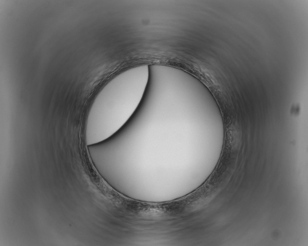 X0000090910594200707301034