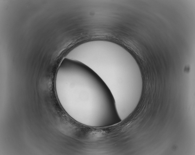X0000090910595200707301034