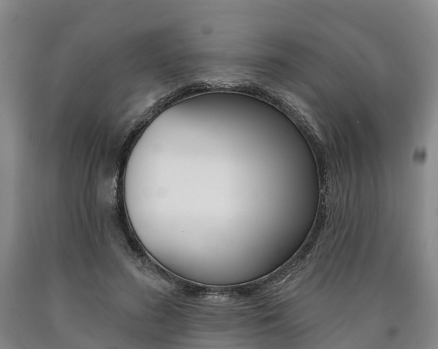 X0000090910596200707301034