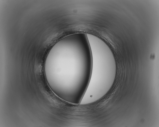X0000090910597200707301034