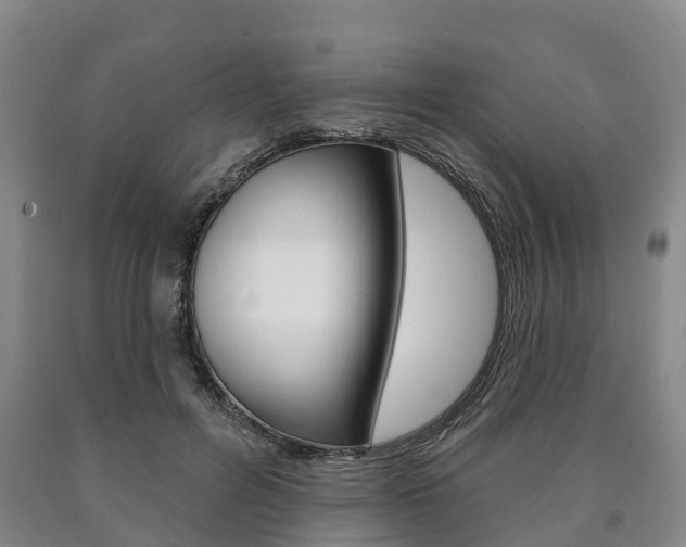 X0000090910600200707301034