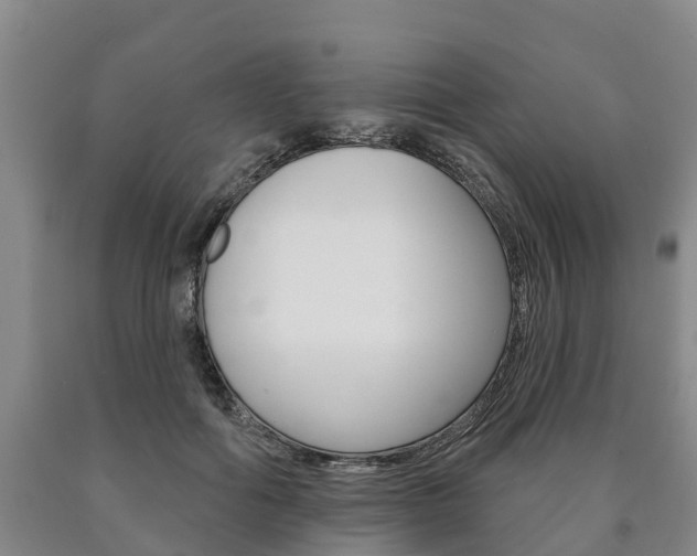 X0000090910602200707301034