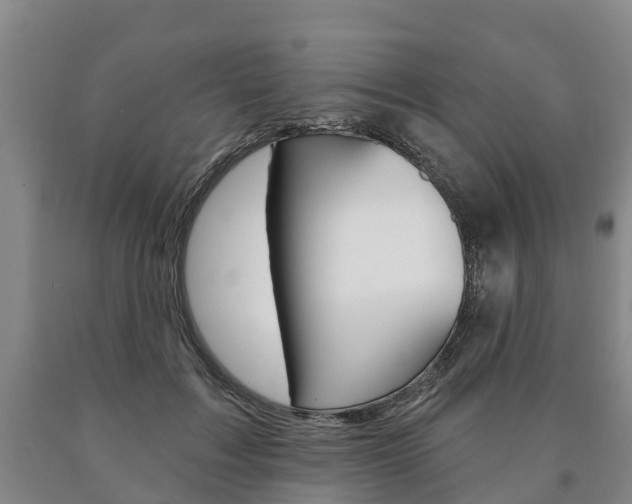 X0000090910603200707301034