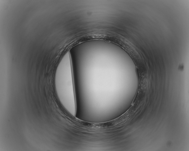 X0000090910604200707301034