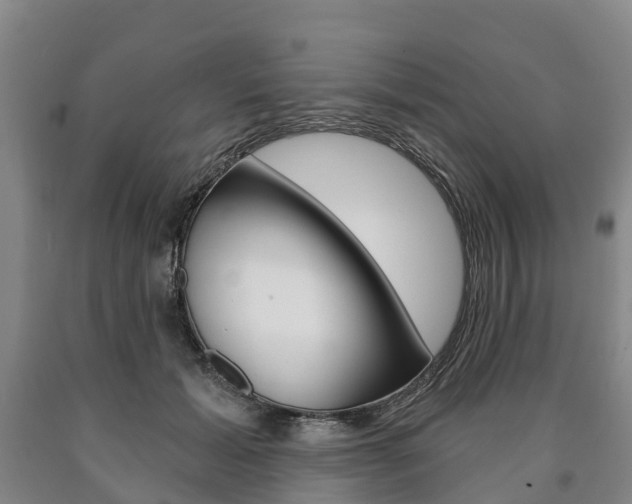 X0000090910605200707301034