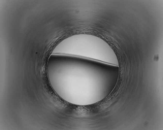X0000090910608200707301034