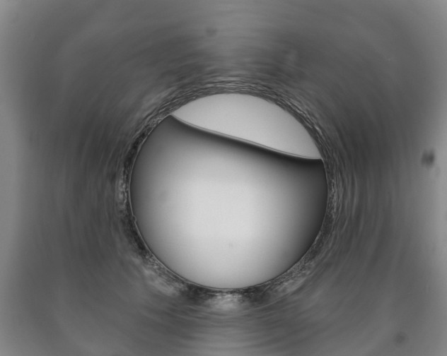 X0000090910609200707301034