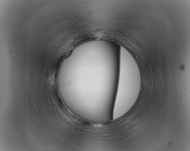 X0000090910611200707301034
