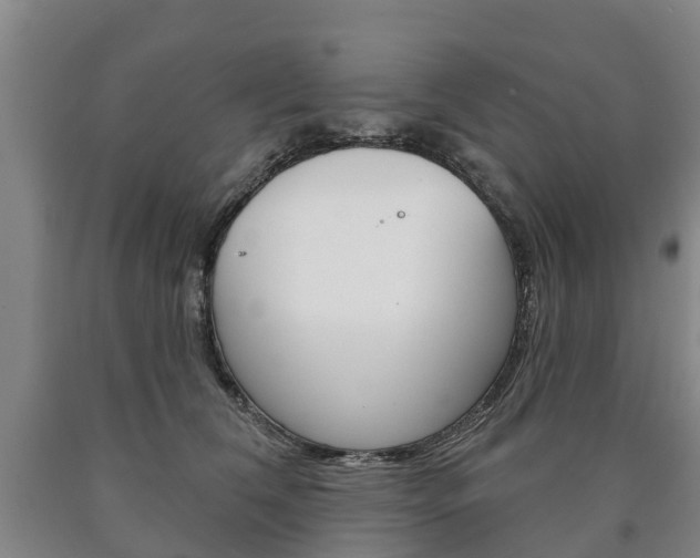 X0000090910612200707301034