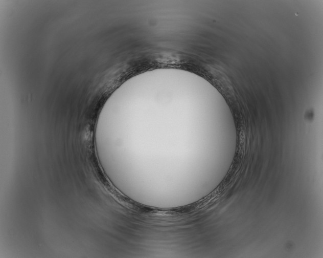 X0000090910614200707301034
