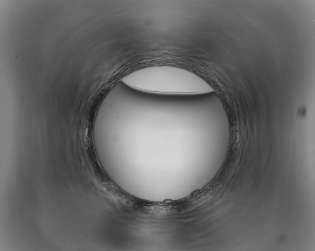 X0000090910615200707301034