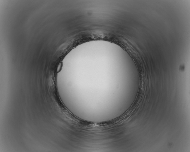 X0000090910616200707301034