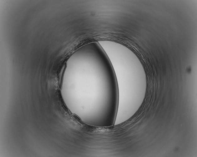 X0000090910617200707301034