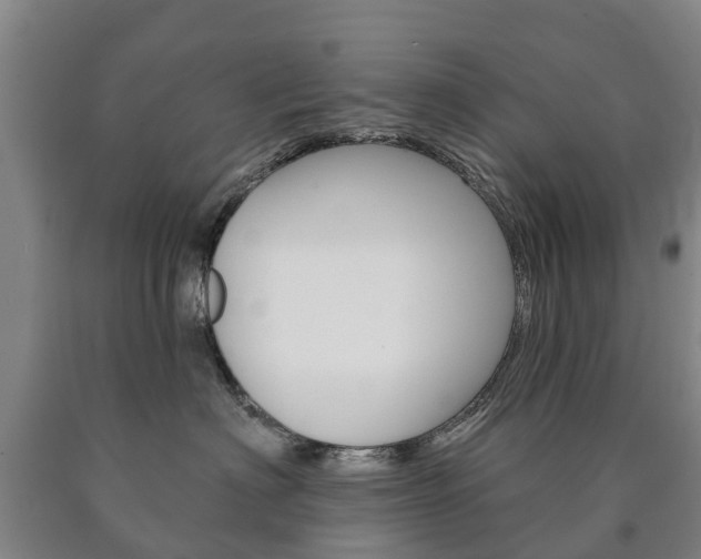 X0000090910622200707301034