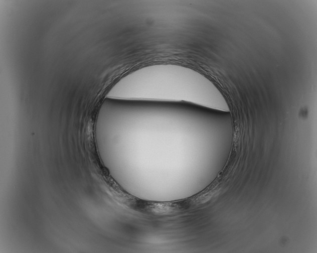 X0000090910623200707301034