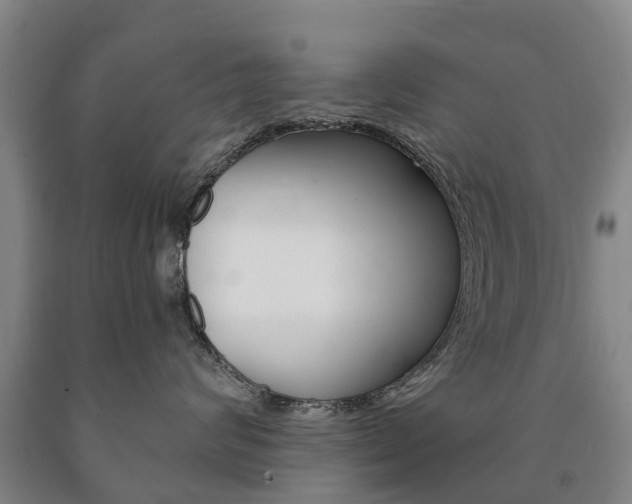 X0000090910624200707301034
