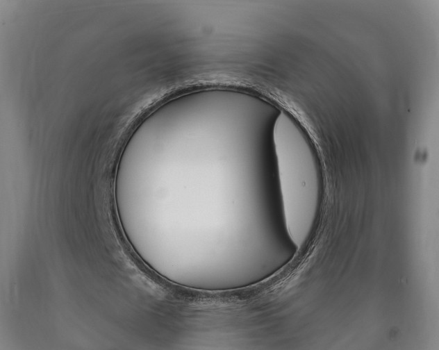 X0000090910625200707301033