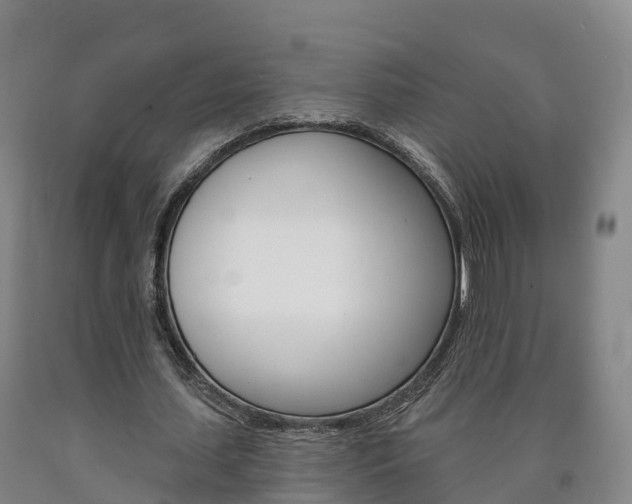 X0000090910627200707301033